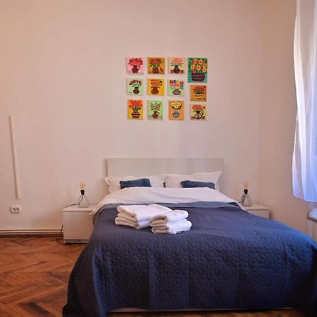 Travel And Music Apartment Тімішоара Екстер'єр фото