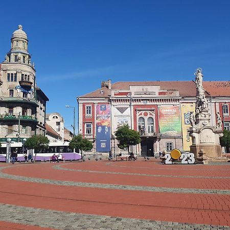 Travel And Music Apartment Тімішоара Екстер'єр фото