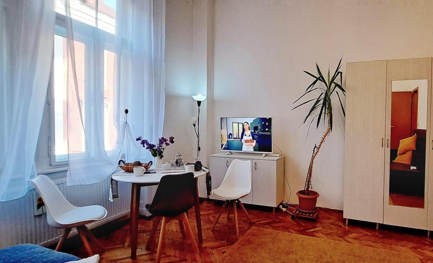 Travel And Music Apartment Тімішоара Екстер'єр фото