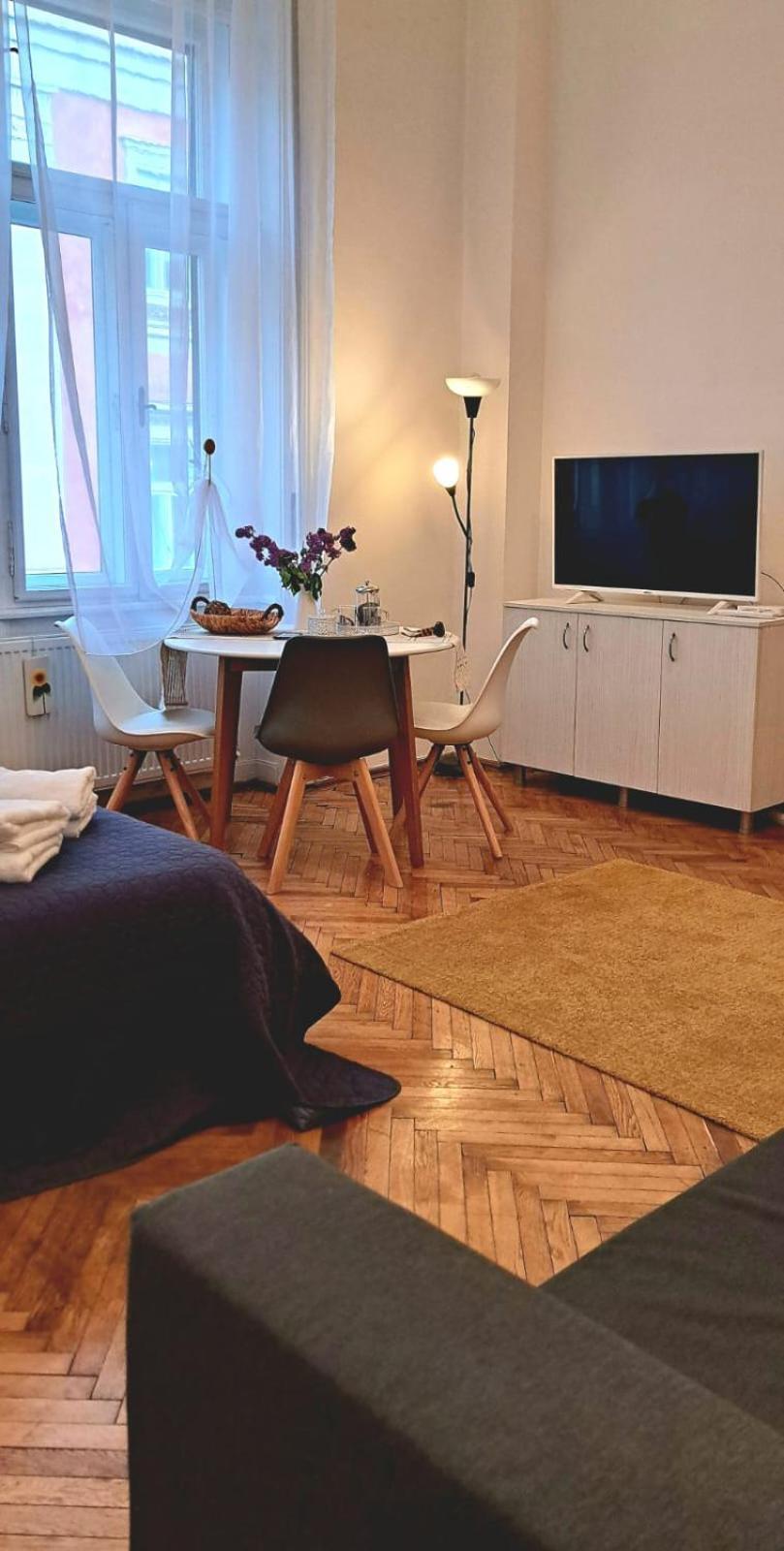 Travel And Music Apartment Тімішоара Екстер'єр фото